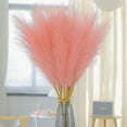 thumbnail image 5 of Dried Pampas Grass Decor, 22 Inch Faux Pampas Grass Stems, Elegant Home Decor for Living Room & Wedding Party Decoration, Aesthetic Pampas Grass Bouquet 10 Pack, 5 of 6