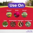thumbnail image 4 of Bonide Japanese Beetle Killer Liquid 32 oz, 4 of 7