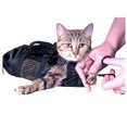 thumbnail image 4 of Bolsa de Aseo Gato Accesorios Panel de Malla Agua Cómodo Sunnimix Bolsa de aseo para gatos, 4 of 8