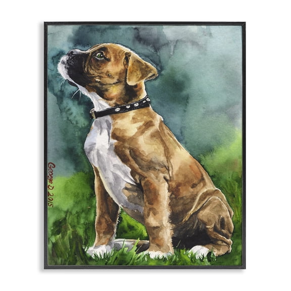 Stupell Industries Farmhouse Boxer Puppy Dog Pet Animal Watercolor Black Framed Giclee Art, 11 x 14, by George Dyachenko