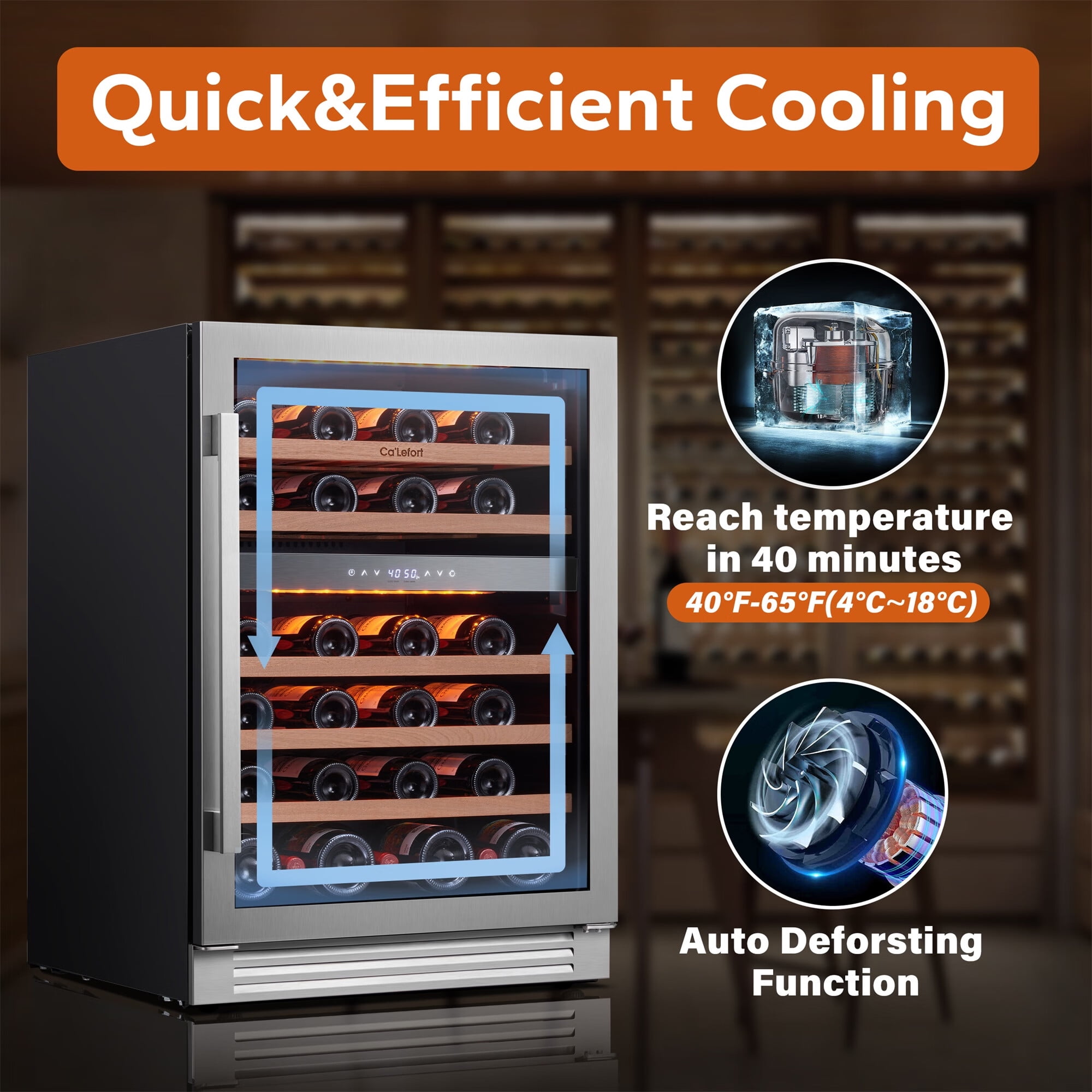 Ca'Lefort Wine Fridge,79 Bottle Dual Zone Wine Cooler Refrigerator,Freestanding & Built-in with Stainless Steel frame for Kitchen Office