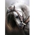 thumbnail image 1 of Cheval à Bascule - Peinture Diamant DIY, 1 of 6