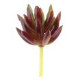 thumbnail image 2 of Flor Artificial Floral Toque Real Planta de Paisaje Follaje Sin Maceta DIY Artesanía Favor Jardín Oficina Decoración Del Macarena  Planta Succulenta Artificial, 2 of 7