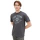 thumbnail image 2 of TOM TAILOR Camiseta para hombre - Camiseta con logotipo, cuello redondo, corte regular, algodón, estampado Gris L (Large), 2 of 7