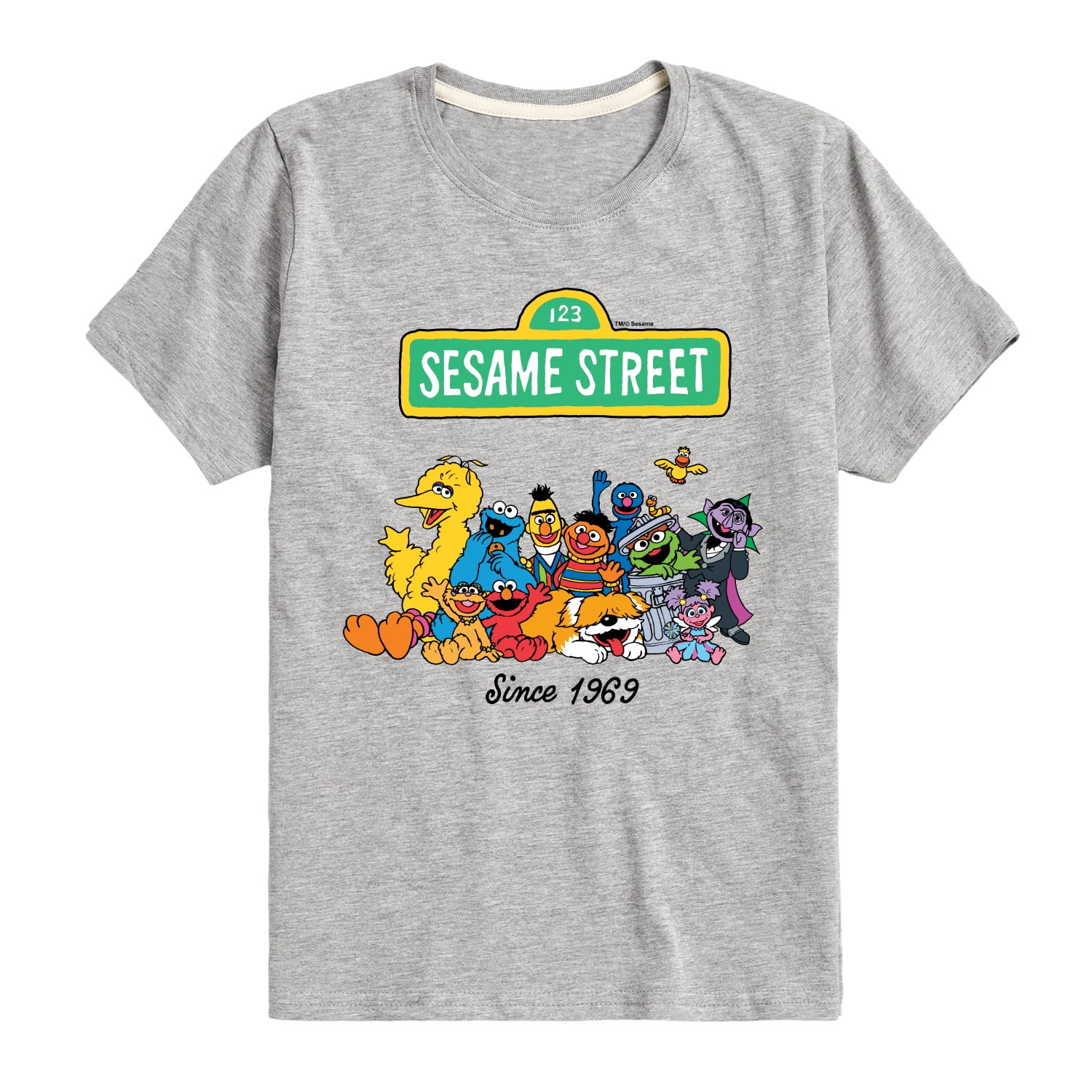 Sesame Street - Sesame Street Since 1969 Short Sleeve Graphic T-Shirt