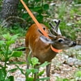 thumbnail image 4 of Toyvian Hunting Gear Deer Carrier with Orange Nylon Rope, Portable and Sturdy, 2 Pieces for Outdoor Hunting, 4 of 6