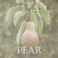 thumbnail image 2 of Lewis, Sheldon 26x26 White Modern Wood Framed Museum Art Print Titled - Pear, 2 of 4