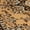 Tan/Beige, variant on Home Dynamix Premium Sakarya Area Rug