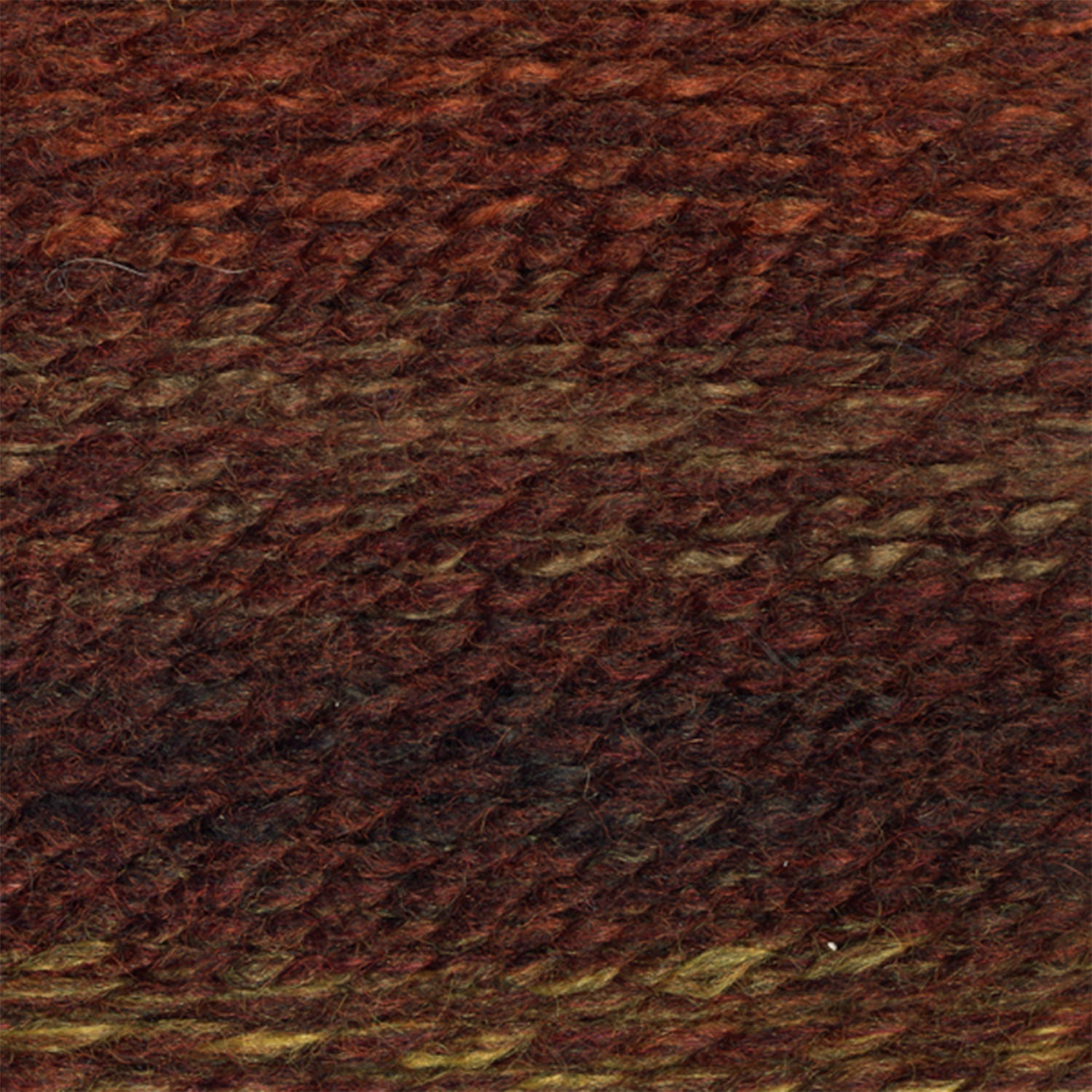 Sequoia