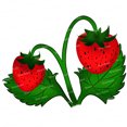 thumbnail image 3 of Three Ratels C0510 Hermosa fresa hermosa fruta PVC cocina pared pegatina decoración muebles baño calcomanías, 3 of 5