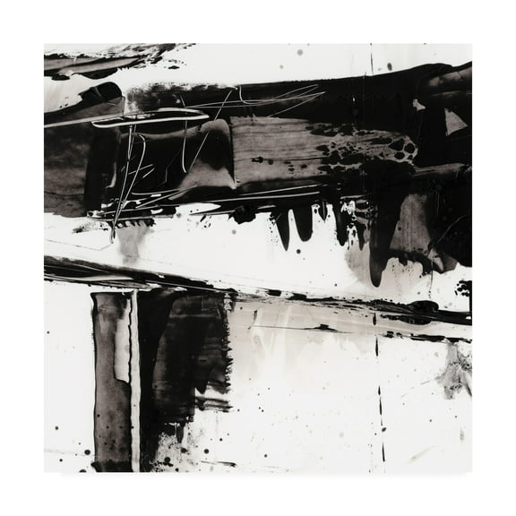 Trademark Fine Art 'Jagged Edge I' Canvas Art by Ethan Harper