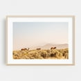 thumbnail image 2 of wild horses grazing - Carson City Nevada Photography Horse Desert Wildlife Rural Landscape Nature Pastoral Unframed Wall Art Print 8 x 12 inches, 2 of 7
