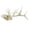 A002- Style B, variant on Gothic Skull Decor with 3D Printed Antler Design, Creepy Office Desk Decor for Men, Halloween Decoration