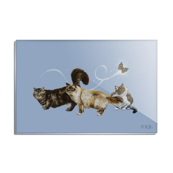 Cats in a Row with a Butterfly Rectangle Acrylic Fridge Refrigerator Magnet