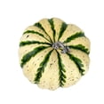 thumbnail image 4 of Utilería de calabaza Artificial, verdura de imitación, adorno multiusos portátil de tamaño pequeño, simulación para el hogar, reunión de Halloween y Verde y amarillo, 4 of 8