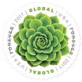 thumbnail image 2 of Green Succulent Sheet of 10 Global USPS First Class International Forever Postage Stamps, 2 of 2