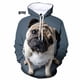 thumbnail image 4 of Sudadera con capucha con estampado 3D de perro PUG para hombre, sudadera con capucha divertida para niño, ropa de calle, sudaderas para hombres, 4 of 5