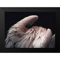 thumbnail image 2 of Design Fabrikken 14x11 Black Modern Framed Museum Art Print Titled - Flamboyance 2, 2 of 5