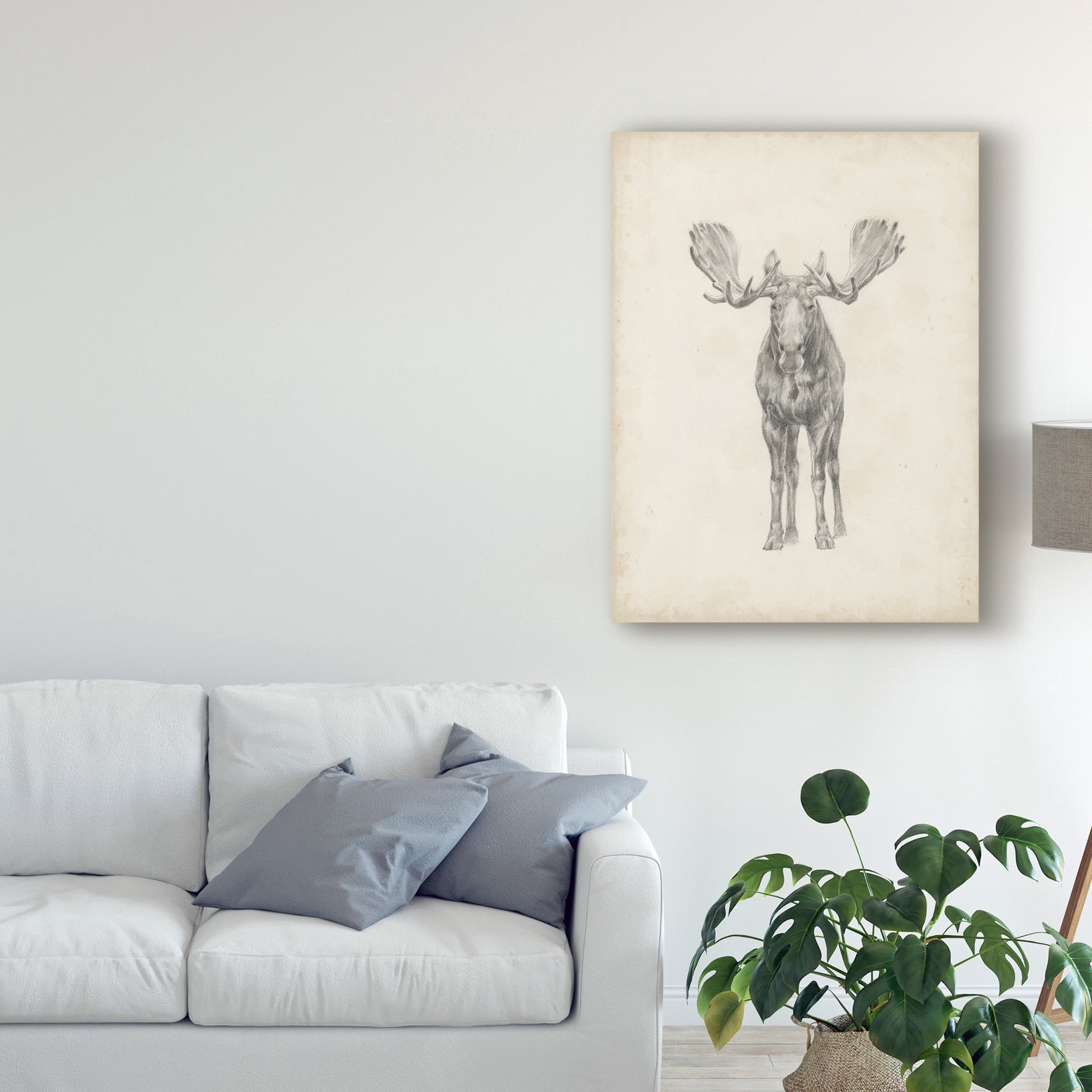 Trademark Fine Art 'Moose Study Illustration' Canvas Art by Ethan Harper