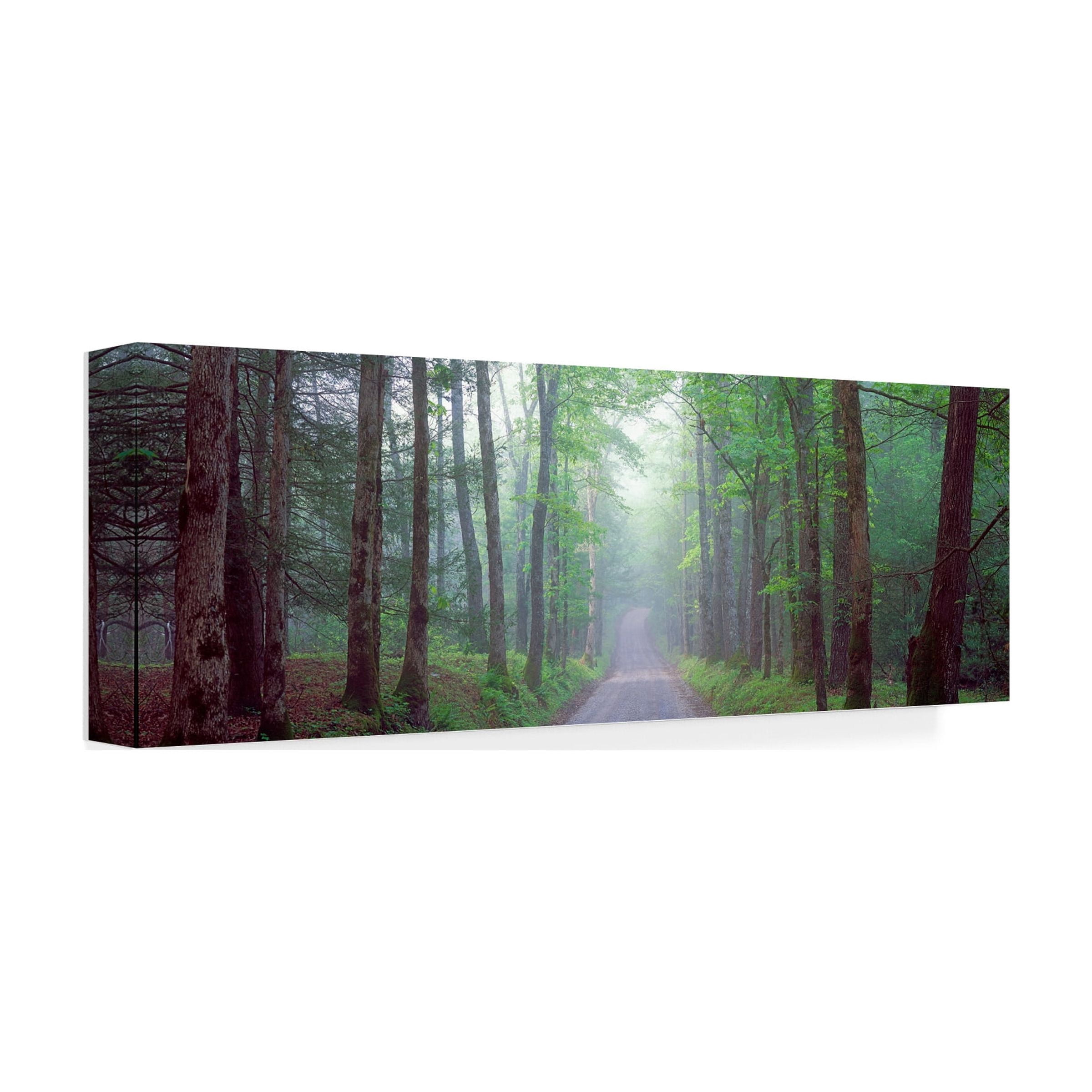 Trademark Fine Art 'Tree Panorama' Canvas Art by Doug Cavanah