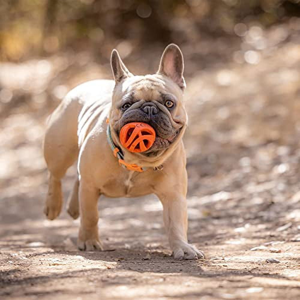 Canine Hardware Inc-Chuckit! Breathe Right Fetch Ball- Orange Medium