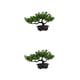 thumbnail image 1 of Decoraciones de sala de estar modernas verdes Toystoory plantas en macetas de plástico resistentes y duraderas XB54-C018 2Conjunto, 1 of 6