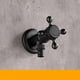 thumbnail image 2 of Grifo para exterior moderno de bronce negro, grifo de agua fría y caliente para exteriores, grifo de pared para jardín, grifo para baño, lavadora, fregona (color: Jy04B), 2 of 4