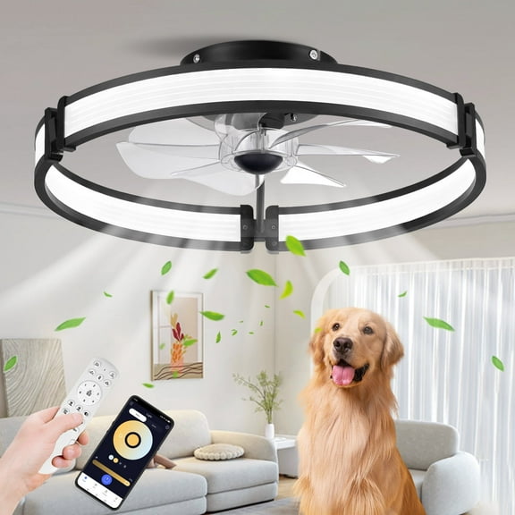 BAYSQUIRREL Ceiling Fans with Lights and Remote, Low Profile Ceiling Fan, 3000-6000K Dimmable Bladeless Fan Light, 3 Colors 6 Speeds Reversible, Modern Flush Mount Ceiling Fan for Bedroom