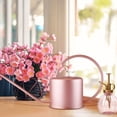 thumbnail image 2 of Decorative Copper Colored Galvanized Steel Watering Can - Easy Pour Gooseneck Spout for Indoor Watering, 2 of 6