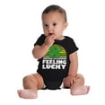 thumbnail image 6 of St Patricks Day Feeling Lucky Clover Romper Boys or Girls Infant Baby Brisco Brands 12M, 6 of 7