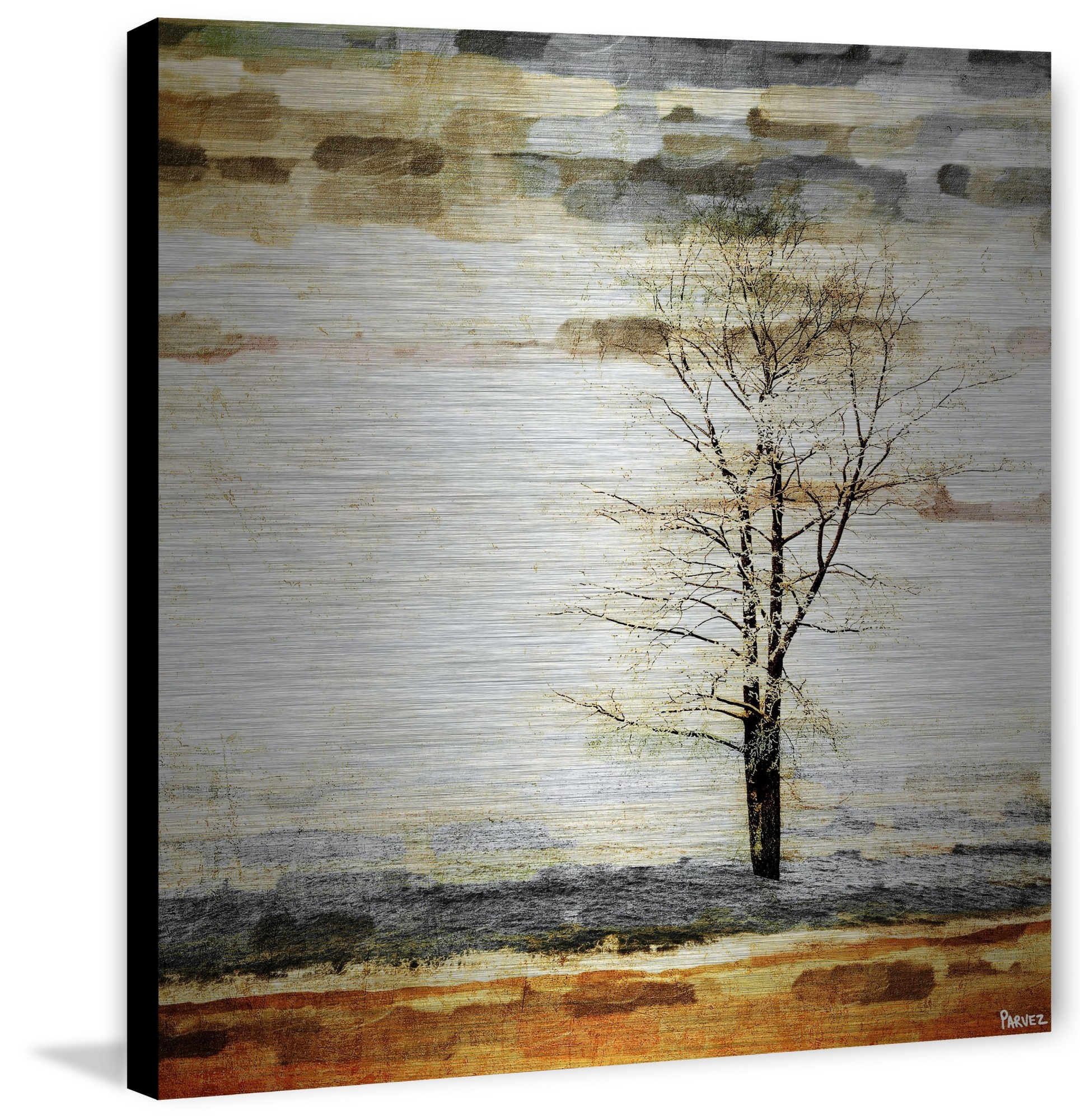 Parvez Taj Pt-Wnpw - 49 - Al - 40, 40" x 40" "Lone Tree" Art Print On Aluminum