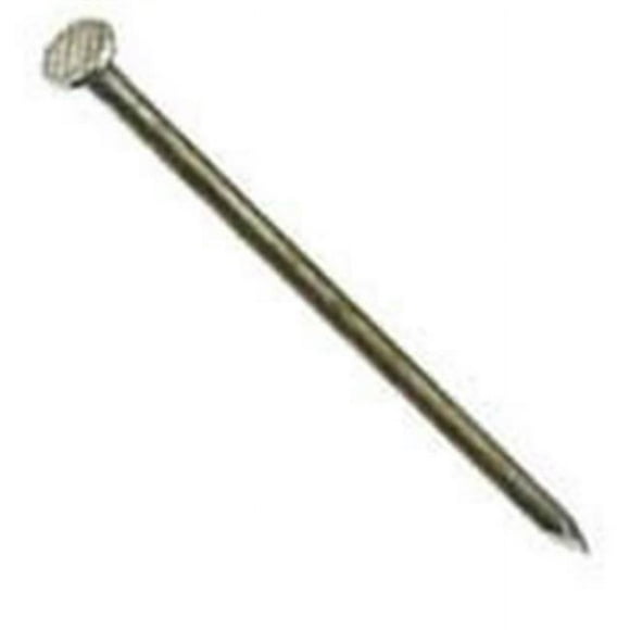 50lbs 12" Hot Galvanized Common Nails