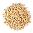 thumbnail image 2 of Organic Soybeans, 12 Ounces – No-GMO, Vegan, Kosher, Bulk – by Food to Live, 2 of 7