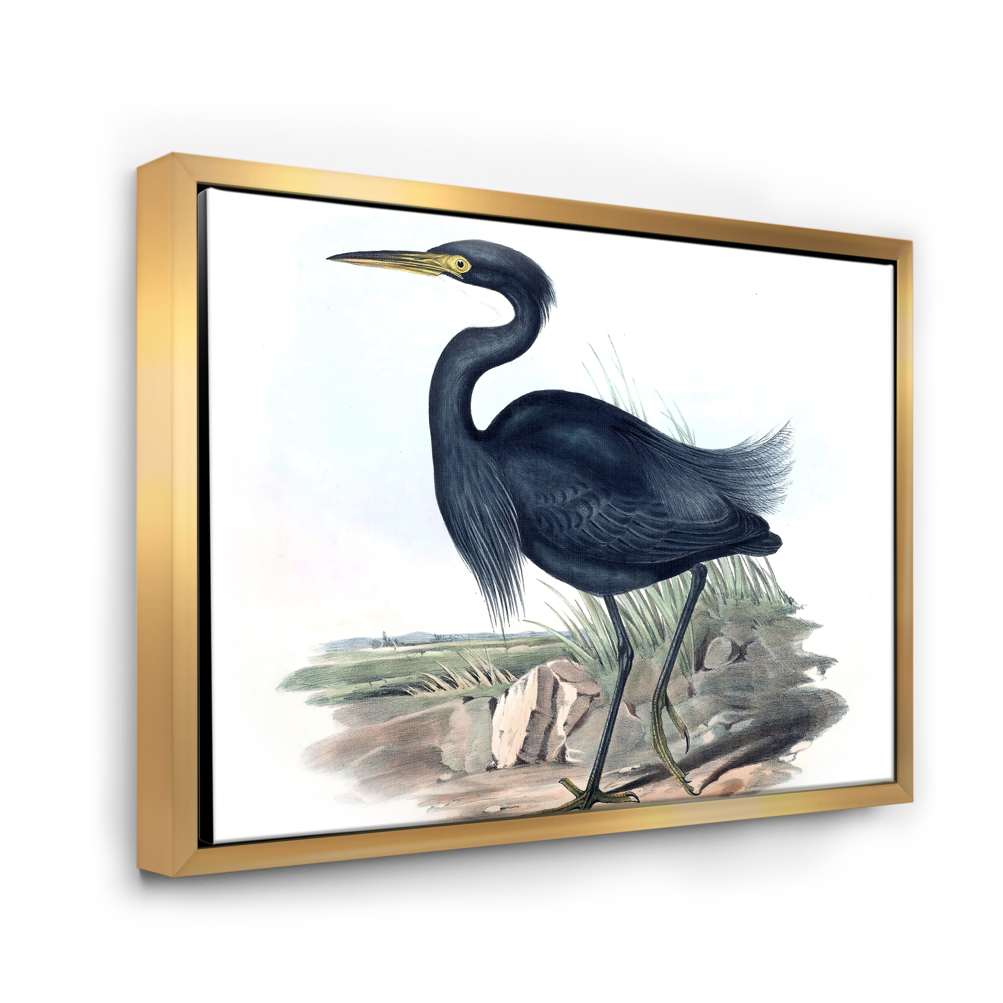 Designart 'Ancient Australian Birds III' Traditional Framed Canvas Wall Art Print