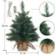 thumbnail image 2 of Árbol de Navidad Topro artificial preiluminado 50 cm verde, 2 of 6