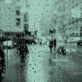 thumbnail image 2 of Fragancia en aerosol Derek Lam Rain Day para mujer, 240 ml Derek Lam Derek Lam Niebla corporal 8 oz, 2 of 3