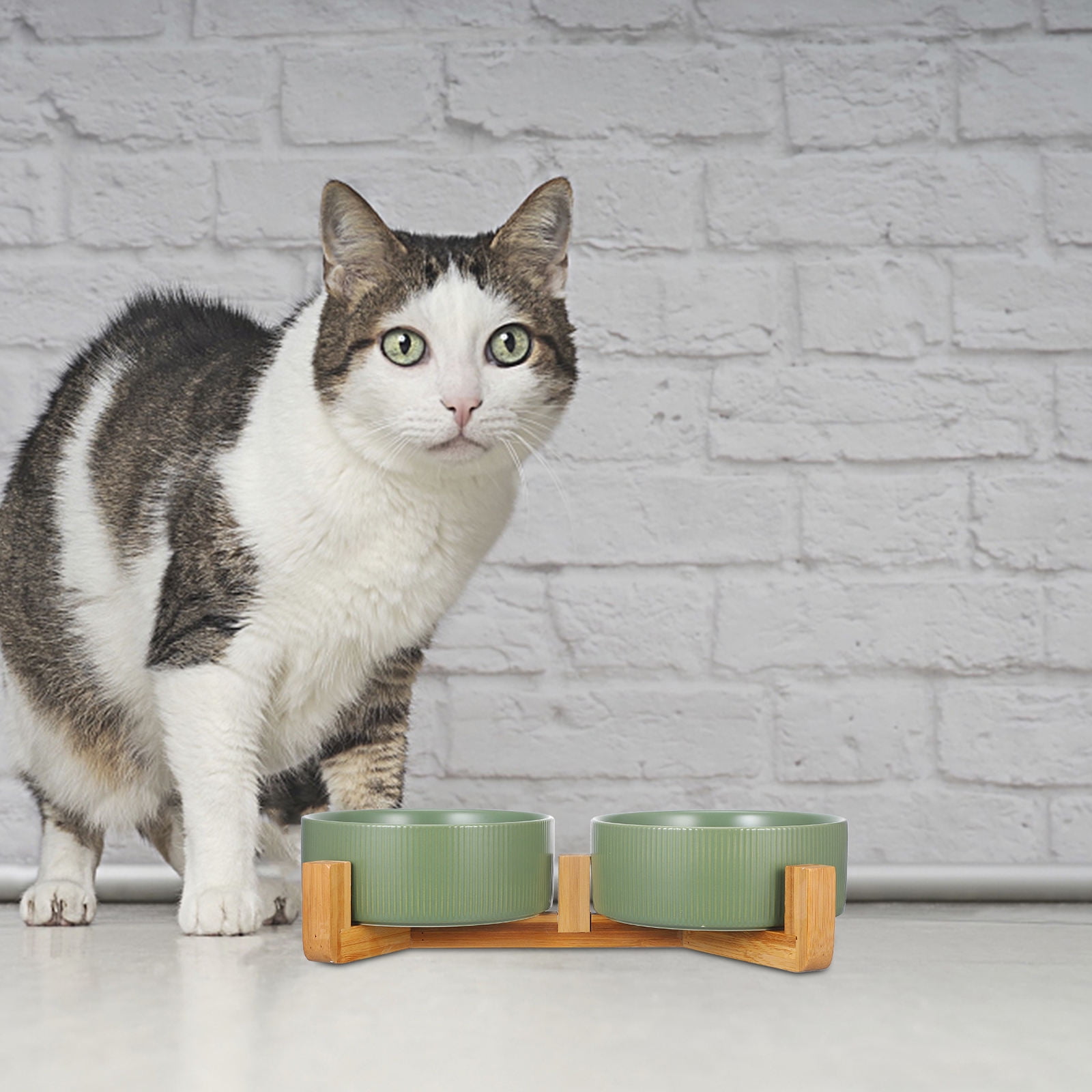 Tineasur 1Set Elevated Ceramic Dog Food Bowl with Sturdy Wooden Stand Stable and Easy to Clean