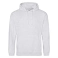thumbnail image 1 of Awdis  Adult College Hoodie, 1 of 2