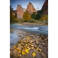 thumbnail image 2 of Rotenberg, Nancy 17x24 Black Ornate Wood Framed with Double Matting Museum Art Print Titled - UT, Zion NP The Sentinel and fallen leaves, 2 of 4