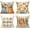 Orange, variant on Fall Outdoor Throw Pillow Covers 18x18 Set of 4 Colorful Pumpkin Décor Autumn Thanksgiving Halloween Orange Decorative Cushion Cases Home Decorations for Couch Sofa Living Room Farmhouse