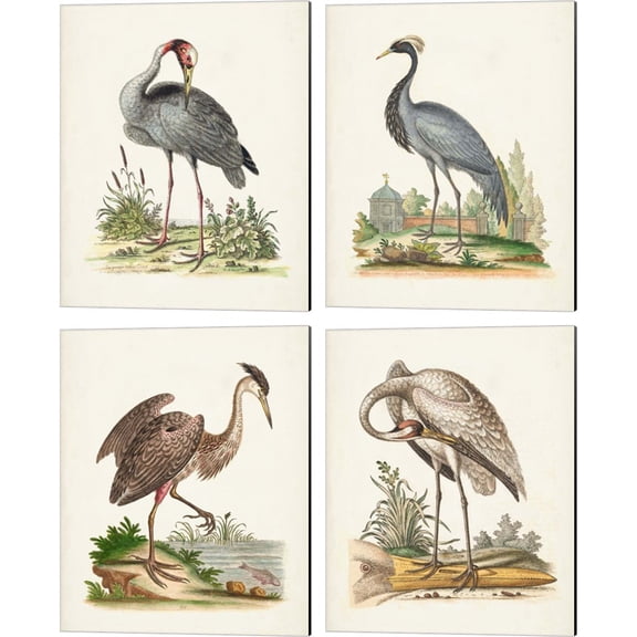 Great Art Now Antique Heron & Cranes by George Edwards 4 Piece Canvas Art Set Each 12W x 15H