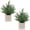 Green-small, variant on NexTone 2 Pack Small Fake Plants Eucalyptus Potted Artificial Plants for Shelf Desk Home Bathroom Farmhouse Room Coffee Table Decor (Sage Green)