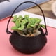 thumbnail image 5 of Accesorio de jardín de muñecas, 1:12 Miniatura Bonsai Jardín Casa de Muñecas Planta Decoración de Casa de Muñecas Integración Perfecta, 5 of 8