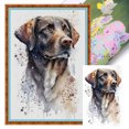 thumbnail image 1 of Kit Punto Cruz Labrador Impreso Hilo Algodón Ecológico Bordado 11CT 40x60cm, 1 of 9
