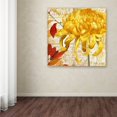 thumbnail image 3 of Trademark Fine Art "Chrysanthemums II" Canvas Art by Color Bakery, 3 of 3