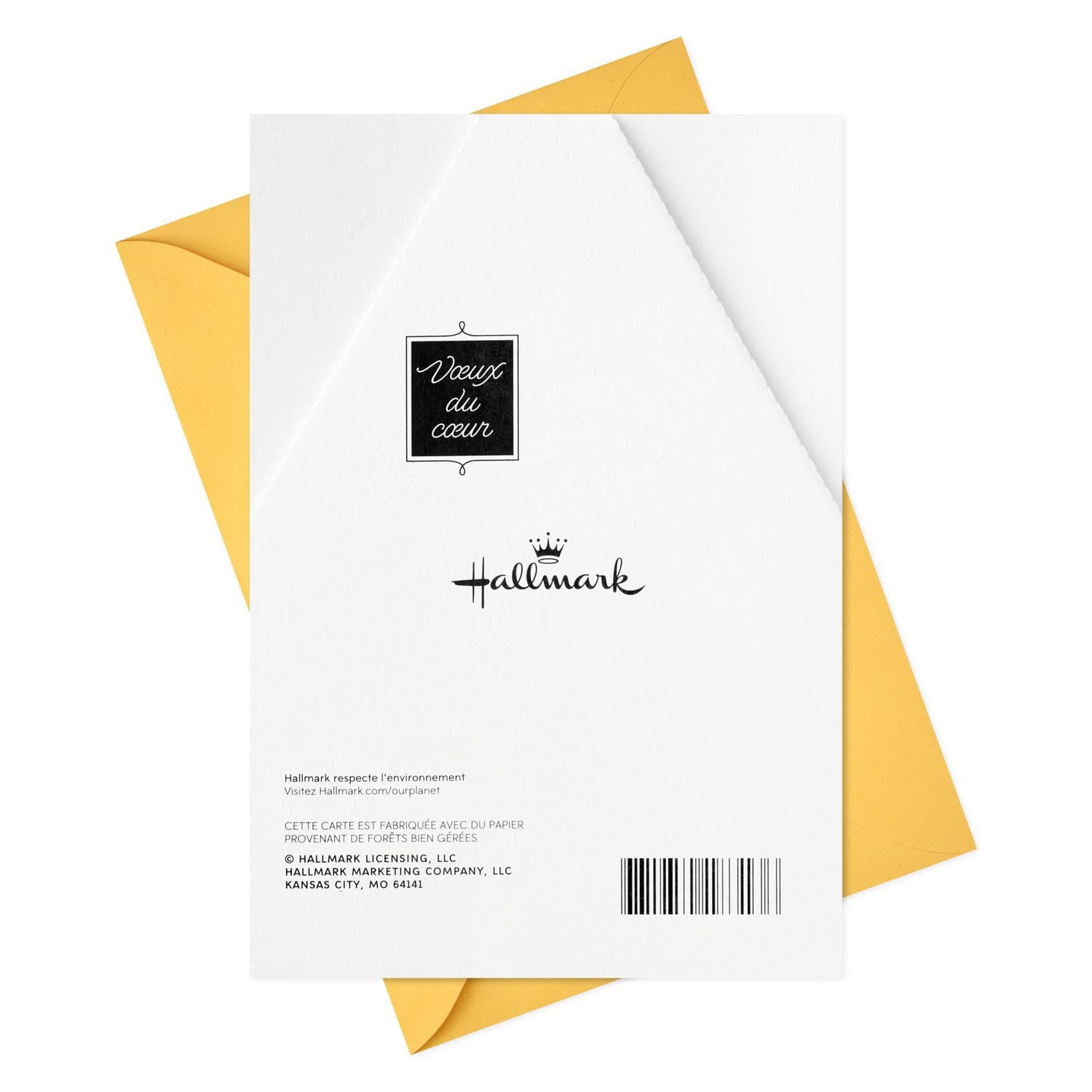 Hallmark Pop Up Birthday Card (Birthday Dog)