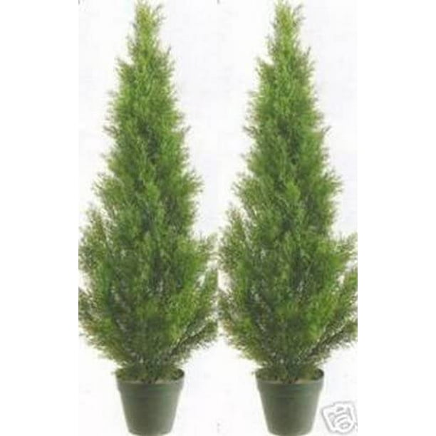 Two 3 Foot Artificial Cedar Topiary Trees Potted Indoor or Outdoor