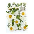 thumbnail image 4 of Birdeem Dried and Embossed Flowers for Resin Kit Candles and Crafts, 4 of 5