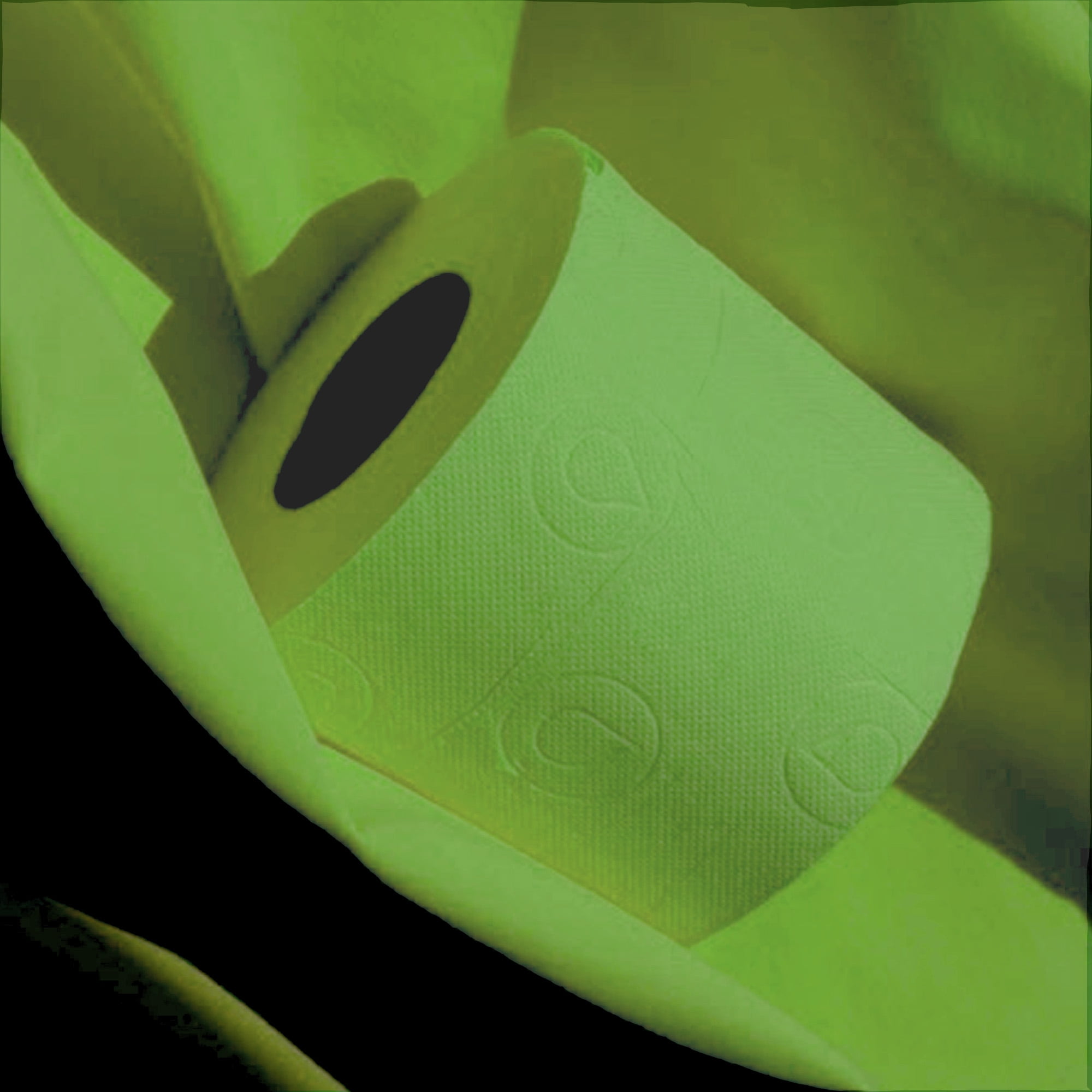 Renova Kelly Green Toilet Paper, 12 Rolls, 140 Sheets Per Roll