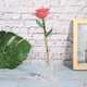 thumbnail image 1 of Un marco de exhibición de rosas acrílicas, marco de rosas con forma de corazón de una sola rosa real, marco de rosas con base de plantas artificiales, utilizado para decoración de habitaciones familiares ER, 1 of 5